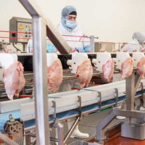 Bird Flu, H5N1 Most Likely to Affect Workers With Limited Healthcare Options