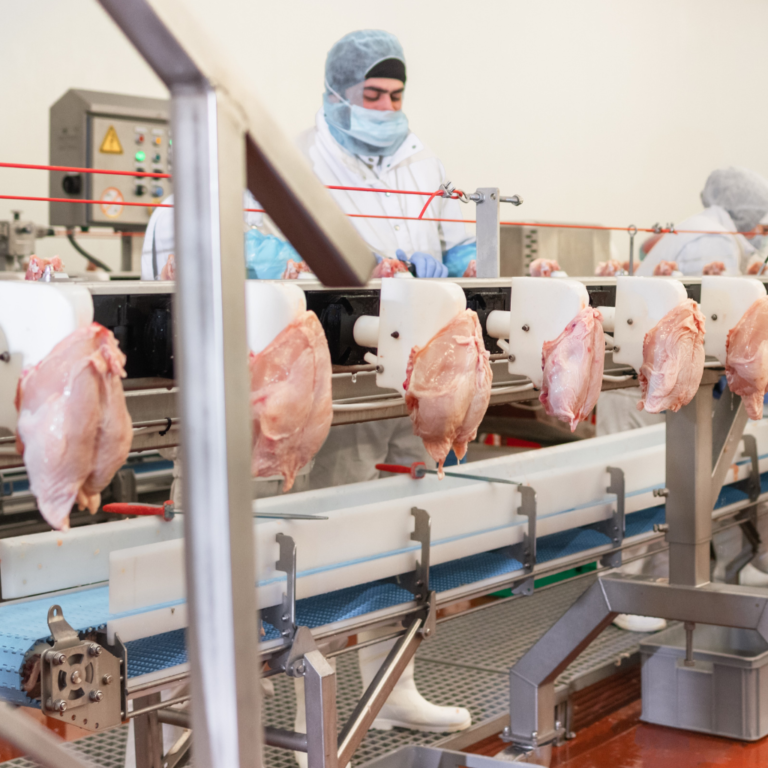 Bird Flu, H5N1 Most Likely to Affect Workers With Limited Healthcare Options